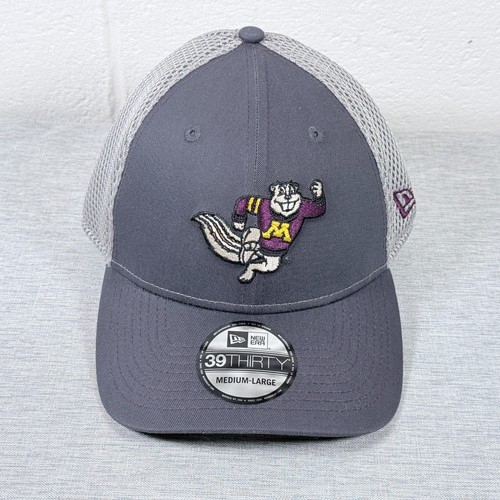 Minnesota golden gophers - minnesota,